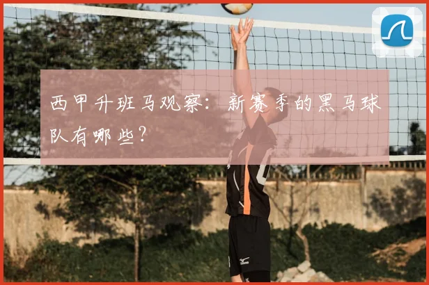 西甲升班马观察:新赛季的黑马球队有哪些?