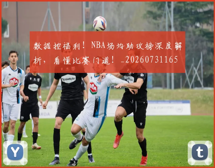 数据控福利!NBA场均助攻榜深度解析,看懂比赛门道!_20260731165803